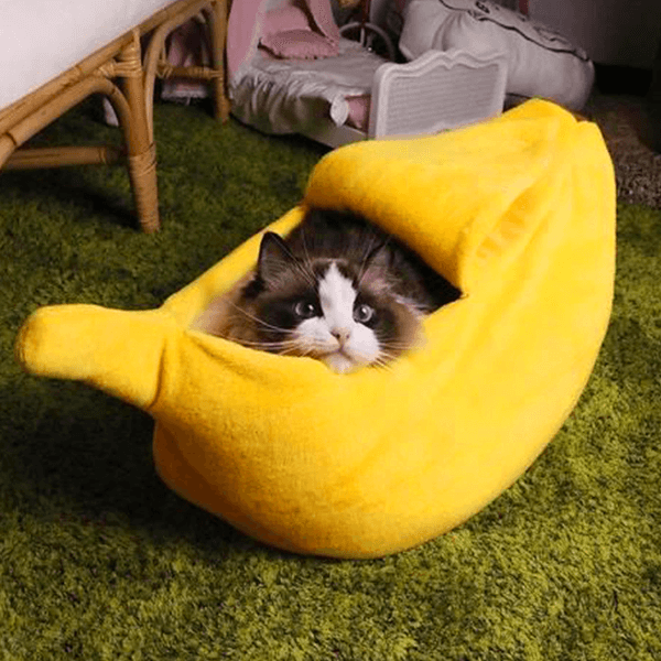 Banana Couch