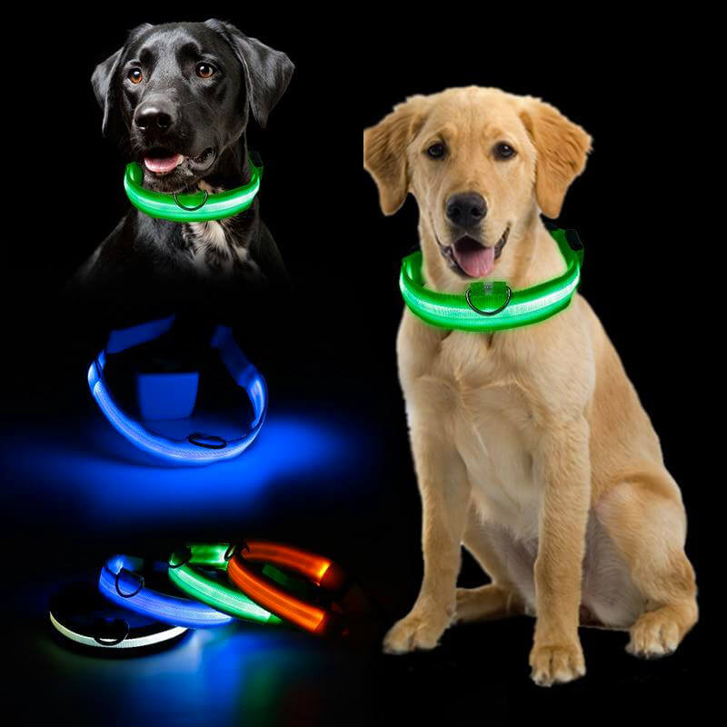 Hot Sale! Flashing Glowing Gem Light LED collar for Dog