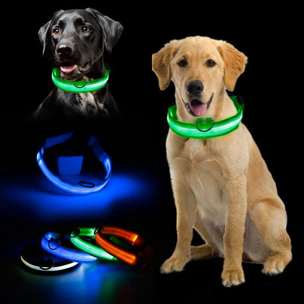 Hot Sale! Flashing Glowing Gem Light LED collar for Dog