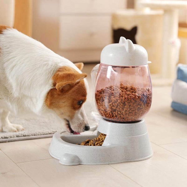 Pet Automatic Feeder for Dogs and Cats
