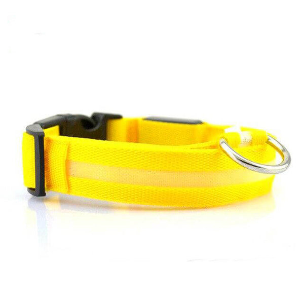 Hot Sale! Flashing Glowing Gem Light LED collar for Dog